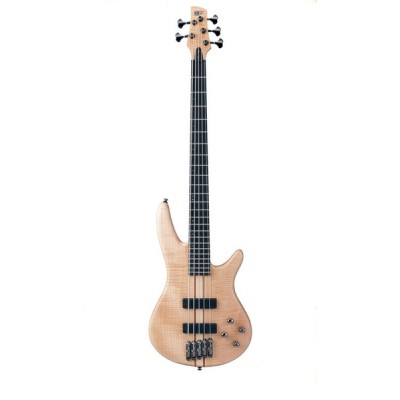 IBANEZ SR1005/EFM Бас-гитара