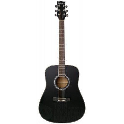 PARKSONS JB4111 (Black) Акустична гітара